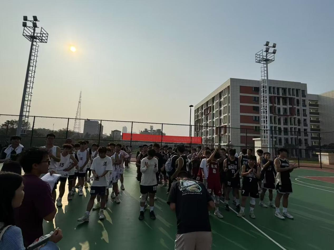 图片 9