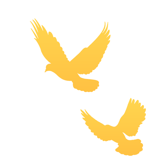 640
