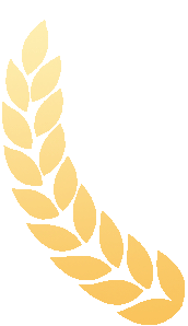 1765758446955 640 (2)